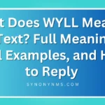 wyll meaning