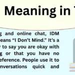 What Does IDM Mean in Text